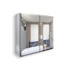 [PICK UP ONLY ] Frameless 2 Doors with 4 Adjustable Shelves both for Surface Recessed Medicine Cabinet