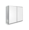 [PICK UP ONLY ] Frameless 2 Doors with 4 Adjustable Shelves both for Surface Recessed Medicine Cabinet